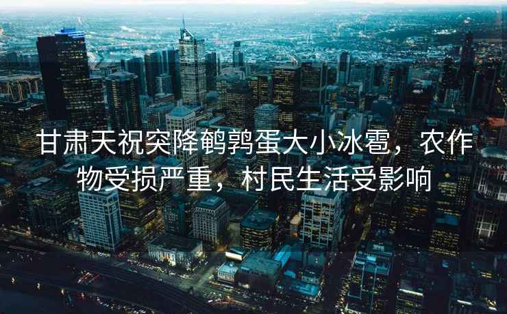 甘肅天祝突降鵪鶉蛋大小冰雹，農(nóng)作物受損嚴(yán)重，村民生活受影響