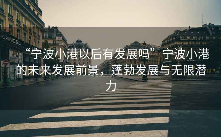 “寧波小港以后有發(fā)展嗎”寧波小港的未來發(fā)展前景，蓬勃發(fā)展與無限潛力