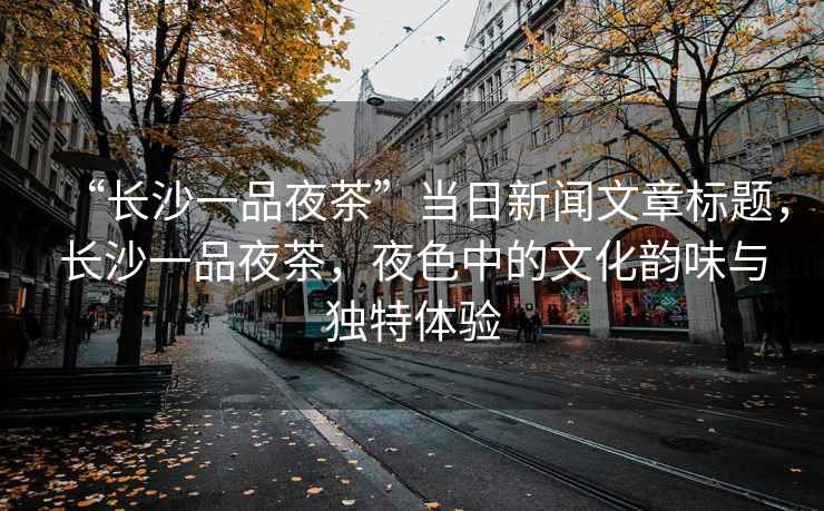 “長沙一品夜茶”當日新聞文章標題，長沙一品夜茶，夜色中的文化韻味與獨特體驗