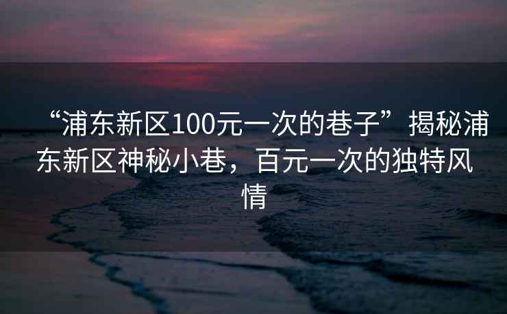 “浦東新區(qū)100元一次的巷子”揭秘浦東新區(qū)神秘小巷，百元一次的獨(dú)特風(fēng)情