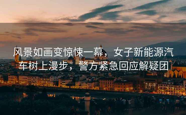 風(fēng)景如畫變驚悚一幕，女子新能源汽車樹上漫步，警方緊急回應(yīng)解疑團(tuán)
