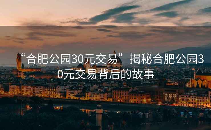 “合肥公園30元交易”揭秘合肥公園30元交易背后的故事