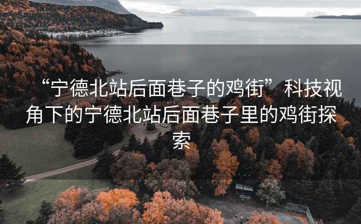 “寧德北站后面巷子的雞街”科技視角下的寧德北站后面巷子里的雞街探索