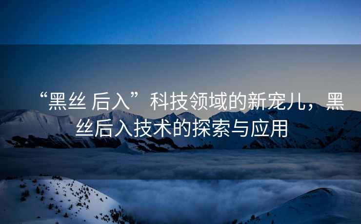 “黑絲 后入”科技領(lǐng)域的新寵兒，黑絲后入技術(shù)的探索與應(yīng)用