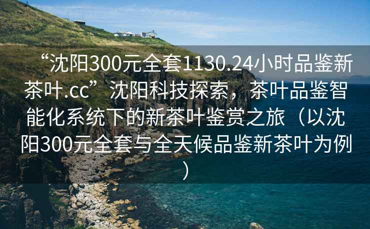“沈陽300元全套1130.24小時品鑒新茶葉.cc”沈陽科技探索，茶葉品鑒智能化系統(tǒng)下的新茶葉鑒賞之旅（以沈陽300元全套與全天候品鑒新茶葉為例）