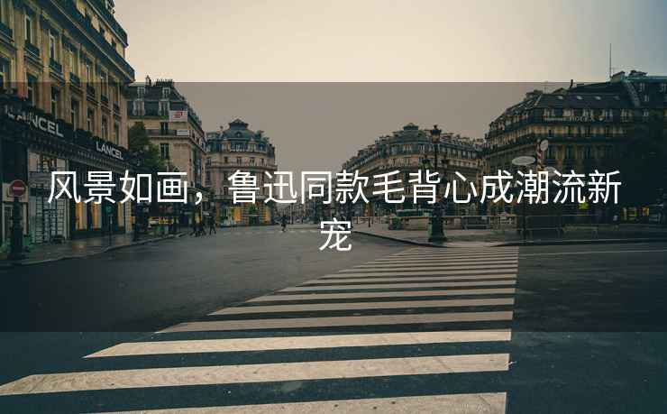 風(fēng)景如畫，魯迅同款毛背心成潮流新寵