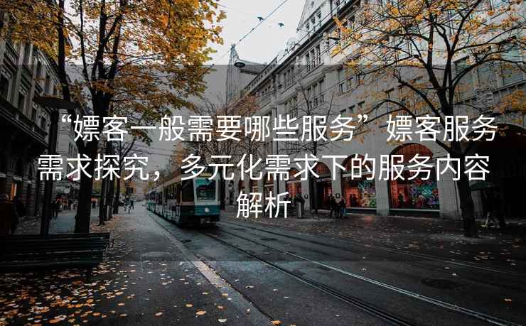 “嫖客一般需要哪些服務(wù)”嫖客服務(wù)需求探究，多元化需求下的服務(wù)內(nèi)容解析