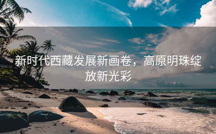 新時(shí)代西藏發(fā)展新畫卷，高原明珠綻放新光彩