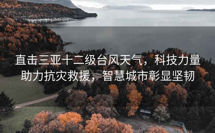 直擊三亞十二級(jí)臺(tái)風(fēng)天氣，科技力量助力抗災(zāi)救援，智慧城市彰顯堅(jiān)韌