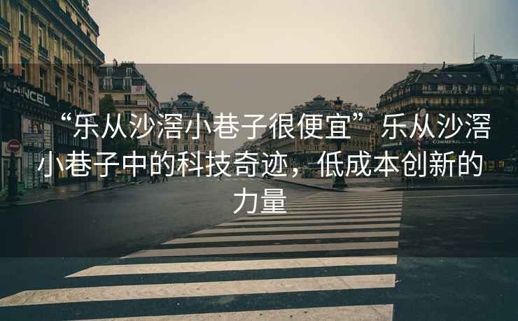 “樂從沙滘小巷子很便宜”樂從沙滘小巷子中的科技奇跡，低成本創(chuàng)新的力量
