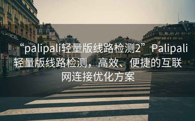 “palipali輕量版線路檢測2”Palipali輕量版線路檢測，高效、便捷的互聯(lián)網(wǎng)連接優(yōu)化方案
