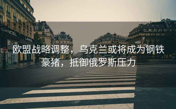 歐盟戰(zhàn)略調(diào)整，烏克蘭或?qū)⒊蔀殇撹F豪豬，抵御俄羅斯壓力