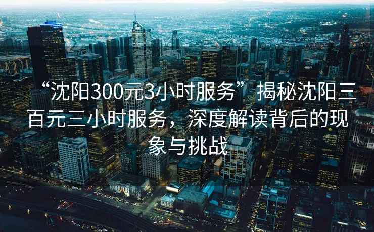 “沈陽300元3小時服務(wù)”揭秘沈陽三百元三小時服務(wù)，深度解讀背后的現(xiàn)象與挑戰(zhàn)